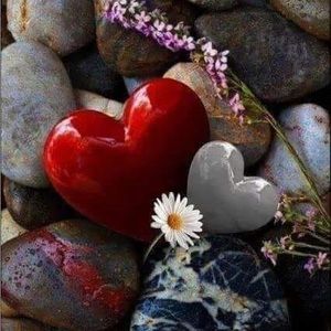 Meet your Posher, Malvina